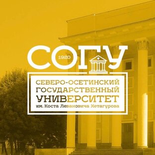 Статистика Дзен СОГУ им. К.Л. Хетагурова