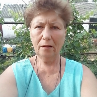 Статистика Дзен Светлана Грабовская