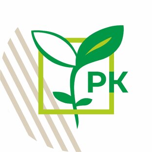 Статистика Дзен Рассадный комплекс Агросоюз Романовский