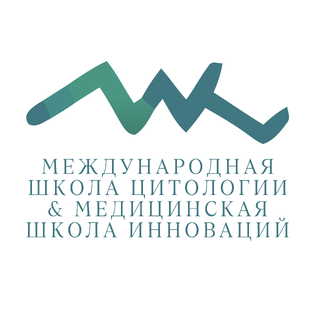 Статистика Дзен Международная Школа Цитологии и Медицинская Школа Инноваций