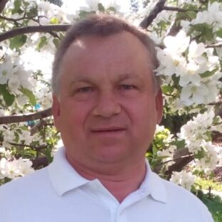 Статистика Дзен В САДУ БАБИНА
