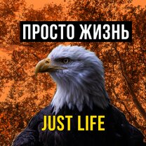 Ожирение в россии и сша. Общественный строй строй. Таблица по истории каменный век палеолит мезолит неолит 6 класс. Капитализм это простыми словами. Капитализм это в истории кратко.