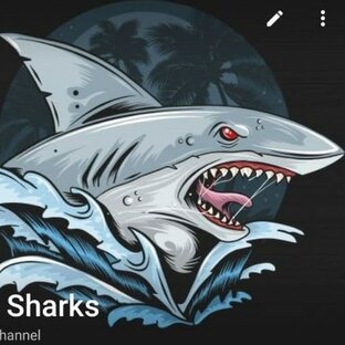 Статистика Дзен IPOSharks - Александр Столыпин