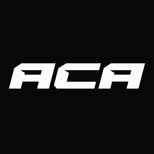 Статистика Дзен ACA - Absolute Championship Akhmat