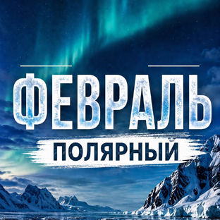 Статистика Дзен Февраль полярный