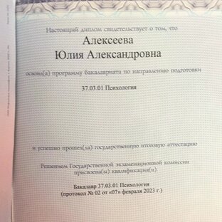 Статистика Дзен Юлия Алексеева