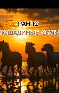 Статистика Дзен РАНЧО " ЛОШАДИНЫЕ СИЛЫ"