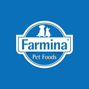 Статистика Дзен Farmina