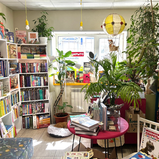 Статистика Дзен Книжный в Сосново