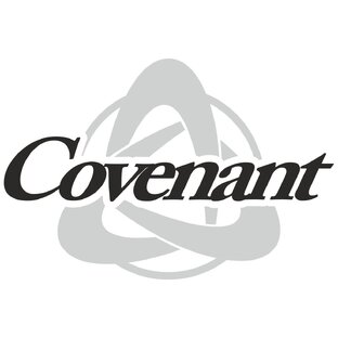 Статистика Дзен Гитары Covenant 