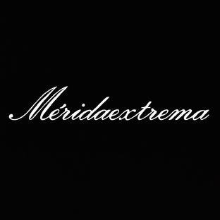 Статистика Дзен Гитары Meridaextrema  