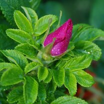 моя грусть. если есть в кармане паске. фразы из фильмов. в ожидании зимы. песня все не так уж страшно.