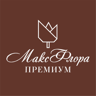 Статистика Дзен Букеты Раменское Максфлора