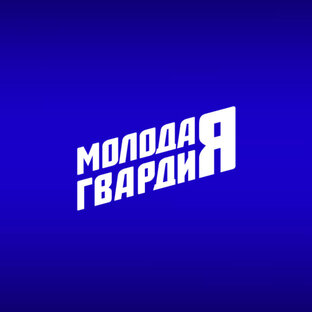 Статистика Дзен Молодая Гвардия | Чувашия