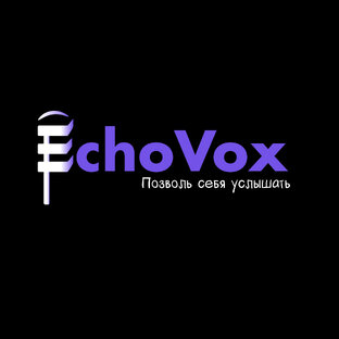 Статистика Дзен EchoVox - Школа вокала