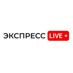 Статистика Дзен Express Live - информационный портал