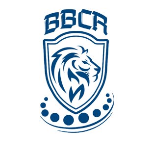 Статистика Дзен ПОДШИПНИКИ ОПТОМ BBCR