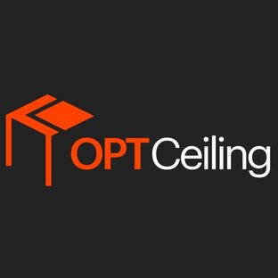 Статистика Дзен OptCeiling