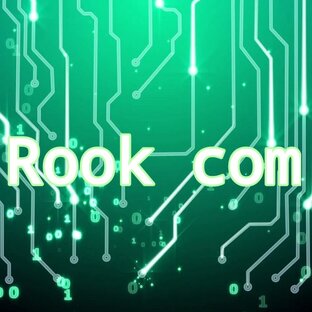 Статистика Дзен Rook.com Electronic