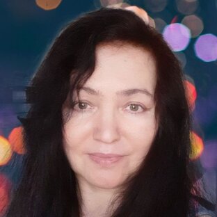 Статистика Дзен Светлана Лайдабон