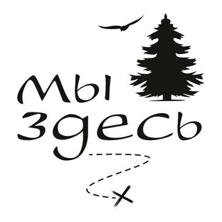 Статистика Дзен База отдыха "Мы Здесь"