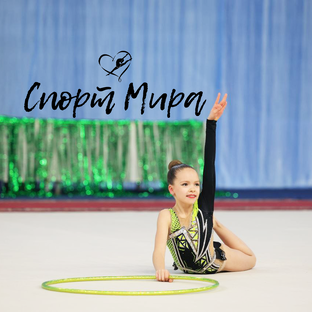 Статистика Дзен Спорт Мира