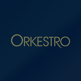 Статистика Дзен Orkestro