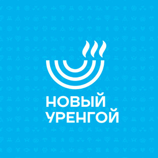 Статистика Дзен Новый Уренгой | Администрация города