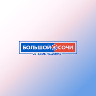 Статистика Дзен Большой Сочи