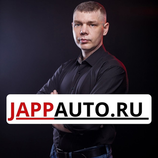 Статистика Дзен Авто из Японии под заказ | JappAuto