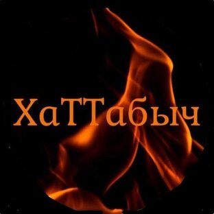 Дзен ХаТТабыч статистика