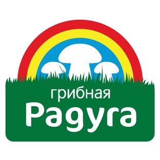 Статистика Дзен Грибная Радуга