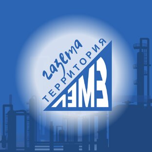 Статистика Дзен Территория ЛЭМЗ