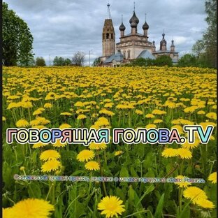 ГОВОРЯЩАЯ ГОЛОВА.TV