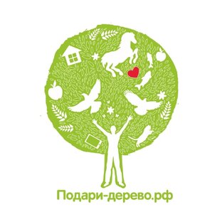 Статистика Дзен Подари-Дерево.рф Эко проект