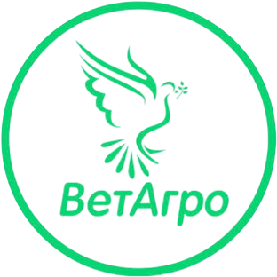 Статистика Дзен ВетАгро