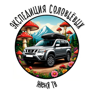 Статистика Дзен Экспедиция Соловьёвых