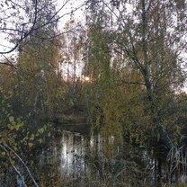 Чем полезен чай. За здоровье не пьют. Самая вредная еда это чай к нему. Шутки про кофе. Пил он всегда чай.