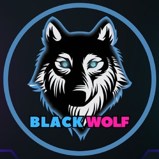 Статистика Дзен Black Wolf Gaming