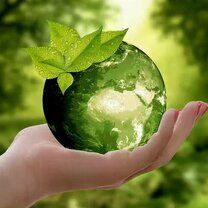 лучшее время посадить дерево было 20 лет назад. 10. 31. 10 лет назад текст. на десять назад унесите.