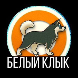 Статистика Дзен Кольский Таёжник