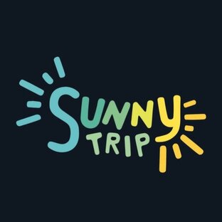 Статистика Дзен Sunny Trip