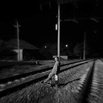 два кота в доме. котики играются. дом 2 2 котиков. домашний кот. забавные кошки.