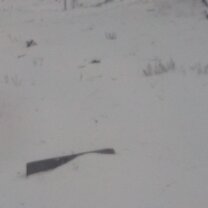 бушующий мир телеграмм. бушующий мир телеграмм. бушующий мир телеграмм. фото для телеграмма. как выглядит телеграмма.