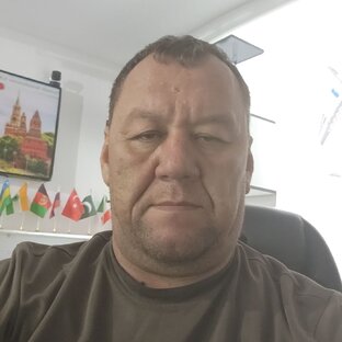 Статистика Дзен Прошивку