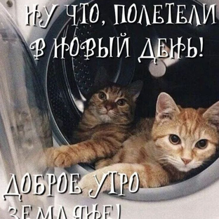Статистика Дзен 🍂🍂🍁осень жизни