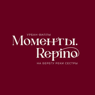 Статистика Дзен Моменты.Repino