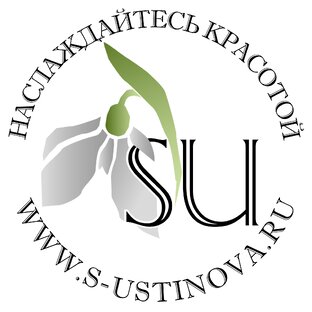 Статистика Дзен Изделия для Декора Снежаны Устиновой