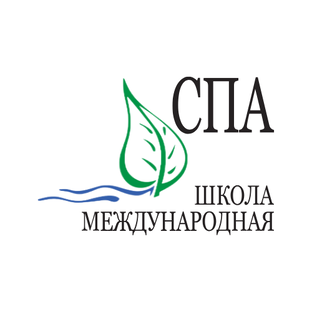 Статистика Дзен Международная школа СПА