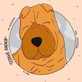 Статистика Дзен Тёплые Лапки
